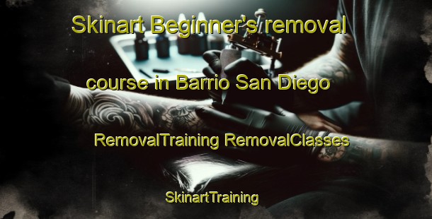 Skinart Beginner's removal course in Barrio San Diego | #RemovalTraining #RemovalClasses #SkinartTraining-Mexico