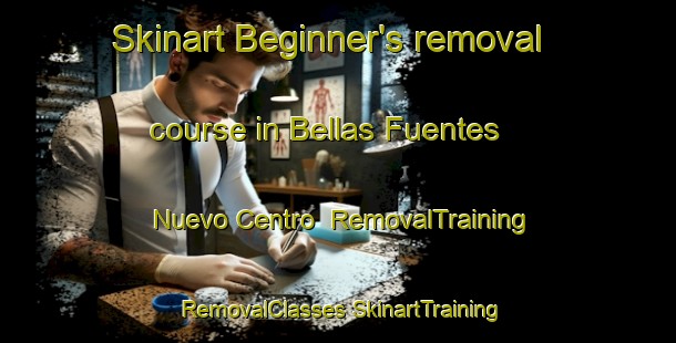 Skinart Beginner's removal course in Bellas Fuentes  Nuevo Centro | #RemovalTraining #RemovalClasses #SkinartTraining-Mexico