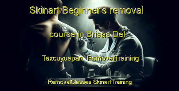 Skinart Beginner's removal course in Brisas Del Texcuyuapan | #RemovalTraining #RemovalClasses #SkinartTraining-Mexico