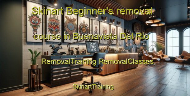 Skinart Beginner's removal course in Buenavista Del Rio | #RemovalTraining #RemovalClasses #SkinartTraining-Mexico