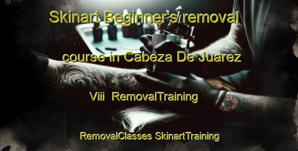 Skinart Beginner's removal course in Cabeza De Juarez Viii | #RemovalTraining #RemovalClasses #SkinartTraining-Mexico