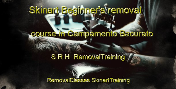 Skinart Beginner's removal course in Campamento Bacurato S R H | #RemovalTraining #RemovalClasses #SkinartTraining-Mexico