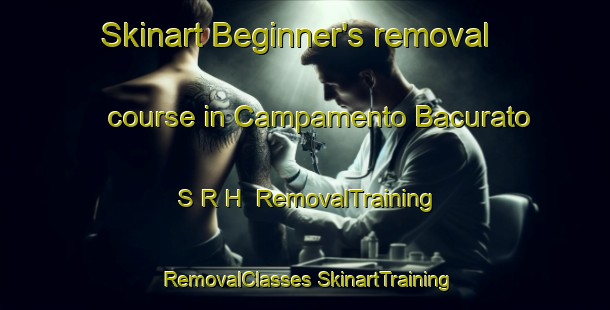 Skinart Beginner's removal course in Campamento Bacurato S R H | #RemovalTraining #RemovalClasses #SkinartTraining-Mexico