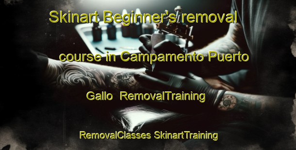 Skinart Beginner's removal course in Campamento Puerto Gallo | #RemovalTraining #RemovalClasses #SkinartTraining-Mexico