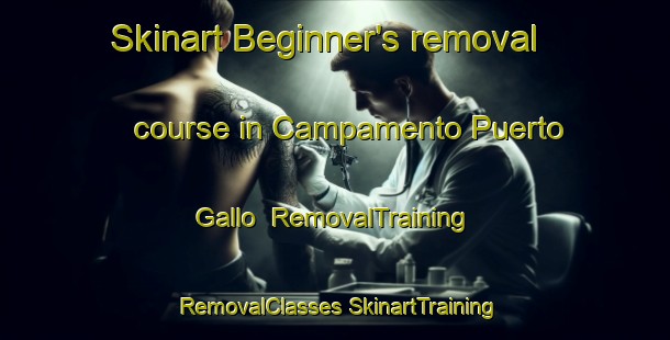 Skinart Beginner's removal course in Campamento Puerto Gallo | #RemovalTraining #RemovalClasses #SkinartTraining-Mexico