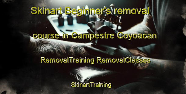 Skinart Beginner's removal course in Campestre Coyoacan | #RemovalTraining #RemovalClasses #SkinartTraining-Mexico