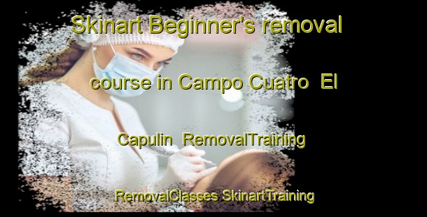 Skinart Beginner's removal course in Campo Cuatro  El Capulin | #RemovalTraining #RemovalClasses #SkinartTraining-Mexico