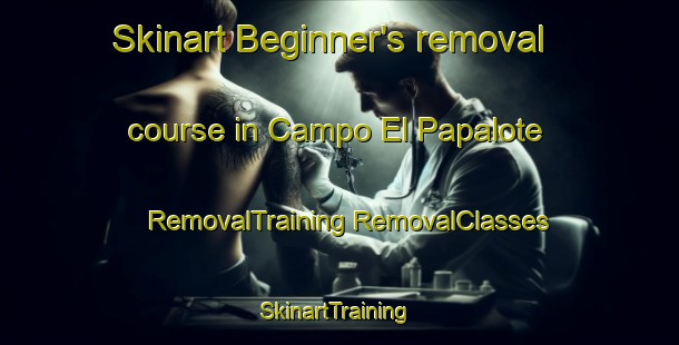 Skinart Beginner's removal course in Campo El Papalote | #RemovalTraining #RemovalClasses #SkinartTraining-Mexico