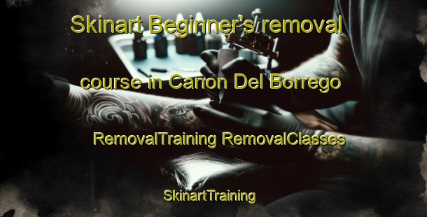 Skinart Beginner's removal course in Canon Del Borrego | #RemovalTraining #RemovalClasses #SkinartTraining-Mexico