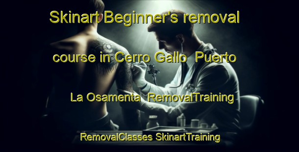 Skinart Beginner's removal course in Cerro Gallo  Puerto La Osamenta | #RemovalTraining #RemovalClasses #SkinartTraining-Mexico