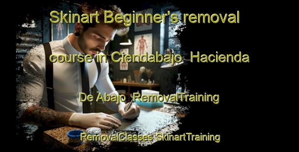 Skinart Beginner's removal course in Ciendabajo  Hacienda De Abajo | #RemovalTraining #RemovalClasses #SkinartTraining-Mexico