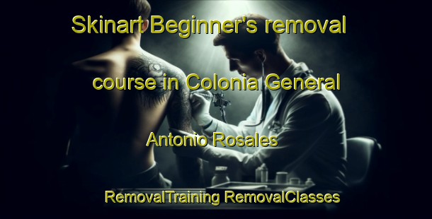 Skinart Beginner's removal course in Colonia General Antonio Rosales | #RemovalTraining #RemovalClasses #SkinartTraining-Mexico