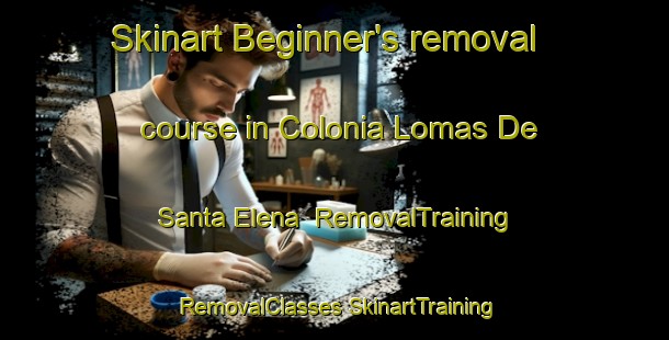 Skinart Beginner's removal course in Colonia Lomas De Santa Elena | #RemovalTraining #RemovalClasses #SkinartTraining-Mexico