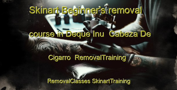 Skinart Beginner's removal course in Deque Inu  Cabeza De Cigarro | #RemovalTraining #RemovalClasses #SkinartTraining-Mexico