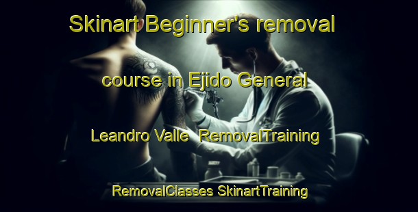 Skinart Beginner's removal course in Ejido General Leandro Valle | #RemovalTraining #RemovalClasses #SkinartTraining-Mexico