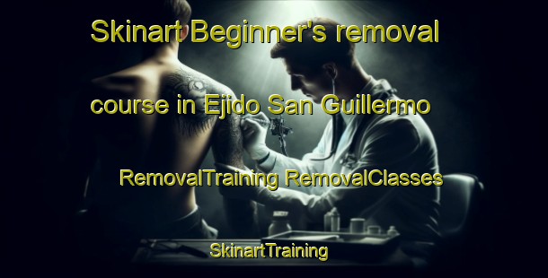 Skinart Beginner's removal course in Ejido San Guillermo | #RemovalTraining #RemovalClasses #SkinartTraining-Mexico