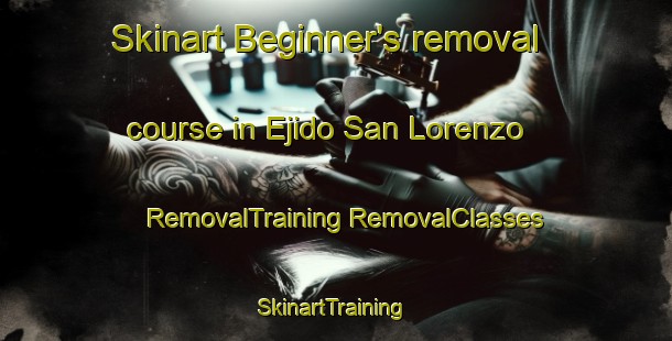 Skinart Beginner's removal course in Ejido San Lorenzo | #RemovalTraining #RemovalClasses #SkinartTraining-Mexico