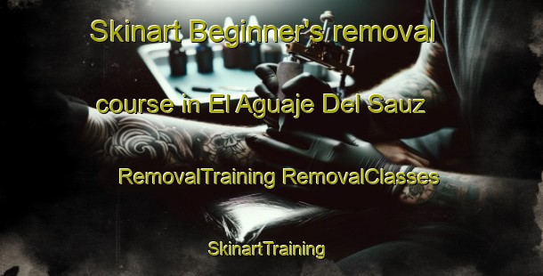 Skinart Beginner's removal course in El Aguaje Del Sauz | #RemovalTraining #RemovalClasses #SkinartTraining-Mexico