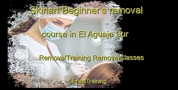 Skinart Beginner's removal course in El Aguaje Sur | #RemovalTraining #RemovalClasses #SkinartTraining-Mexico