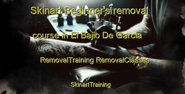 Skinart Beginner's removal course in El Bajio De Garcia | #RemovalTraining #RemovalClasses #SkinartTraining-Mexico