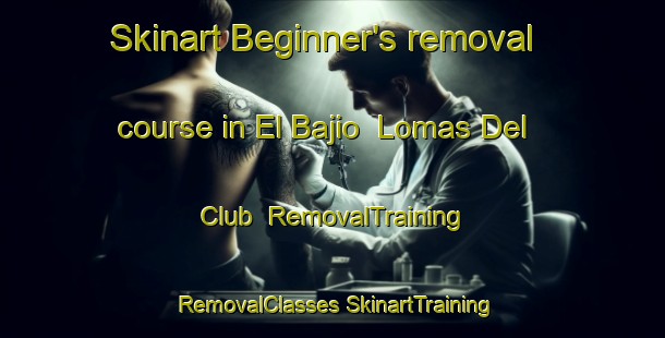 Skinart Beginner's removal course in El Bajio  Lomas Del Club | #RemovalTraining #RemovalClasses #SkinartTraining-Mexico