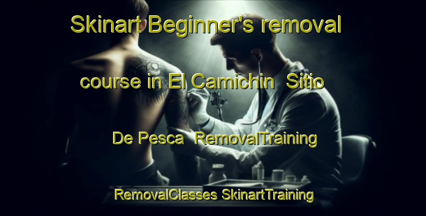 Skinart Beginner's removal course in El Camichin  Sitio De Pesca | #RemovalTraining #RemovalClasses #SkinartTraining-Mexico