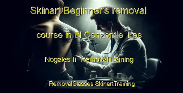 Skinart Beginner's removal course in El Cenzontle  Los Nogales Ii | #RemovalTraining #RemovalClasses #SkinartTraining-Mexico