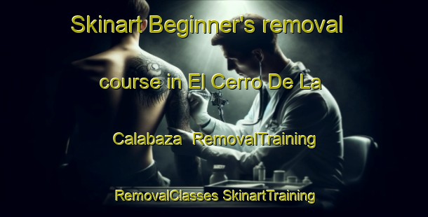 Skinart Beginner's removal course in El Cerro De La Calabaza | #RemovalTraining #RemovalClasses #SkinartTraining-Mexico