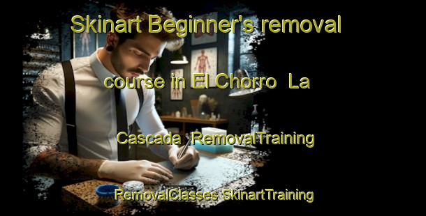 Skinart Beginner's removal course in El Chorro  La Cascada | #RemovalTraining #RemovalClasses #SkinartTraining-Mexico