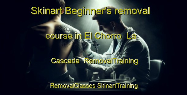 Skinart Beginner's removal course in El Chorro  La Cascada | #RemovalTraining #RemovalClasses #SkinartTraining-Mexico