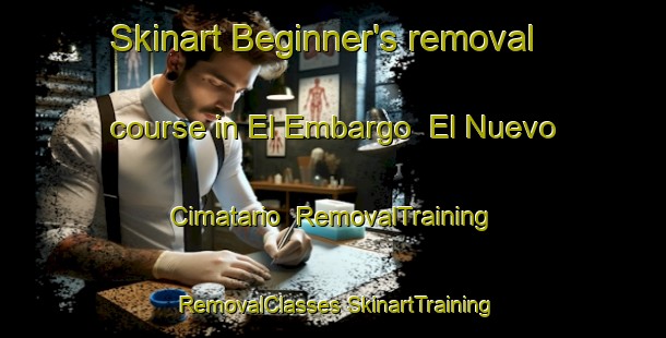 Skinart Beginner's removal course in El Embargo  El Nuevo Cimatario | #RemovalTraining #RemovalClasses #SkinartTraining-Mexico