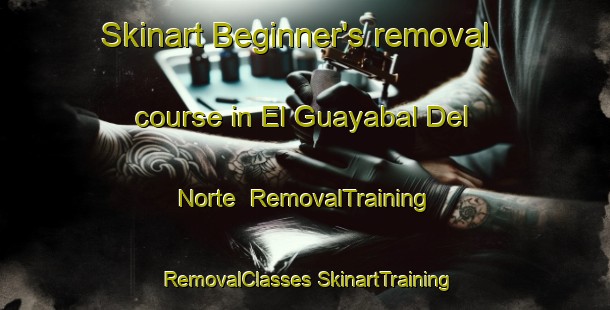 Skinart Beginner's removal course in El Guayabal Del Norte | #RemovalTraining #RemovalClasses #SkinartTraining-Mexico