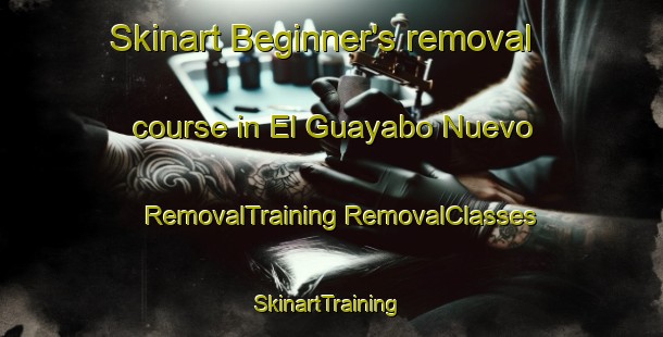 Skinart Beginner's removal course in El Guayabo Nuevo | #RemovalTraining #RemovalClasses #SkinartTraining-Mexico