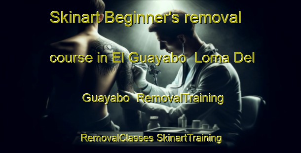 Skinart Beginner's removal course in El Guayabo  Loma Del Guayabo | #RemovalTraining #RemovalClasses #SkinartTraining-Mexico