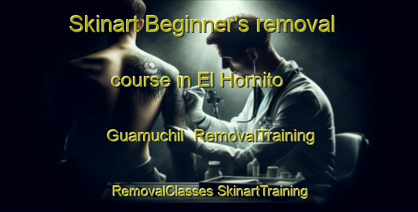 Skinart Beginner's removal course in El Hornito  Guamuchil | #RemovalTraining #RemovalClasses #SkinartTraining-Mexico