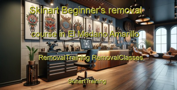 Skinart Beginner's removal course in El Medano Amarillo | #RemovalTraining #RemovalClasses #SkinartTraining-Mexico