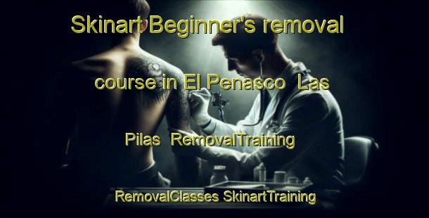 Skinart Beginner's removal course in El Penasco  Las Pilas | #RemovalTraining #RemovalClasses #SkinartTraining-Mexico