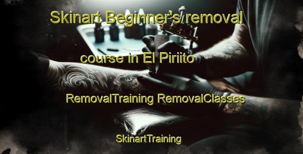 Skinart Beginner's removal course in El Piriito | #RemovalTraining #RemovalClasses #SkinartTraining-Mexico