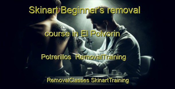 Skinart Beginner's removal course in El Polvorin  Potrerillos | #RemovalTraining #RemovalClasses #SkinartTraining-Mexico