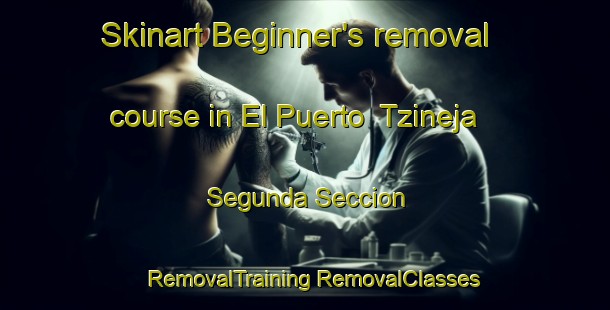 Skinart Beginner's removal course in El Puerto  Tzineja Segunda Seccion | #RemovalTraining #RemovalClasses #SkinartTraining-Mexico