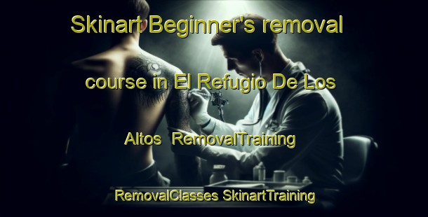 Skinart Beginner's removal course in El Refugio De Los Altos | #RemovalTraining #RemovalClasses #SkinartTraining-Mexico