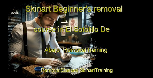 Skinart Beginner's removal course in El Sotolillo De Abajo | #RemovalTraining #RemovalClasses #SkinartTraining-Mexico