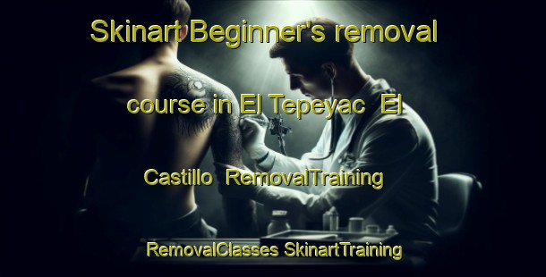 Skinart Beginner's removal course in El Tepeyac  El Castillo | #RemovalTraining #RemovalClasses #SkinartTraining-Mexico