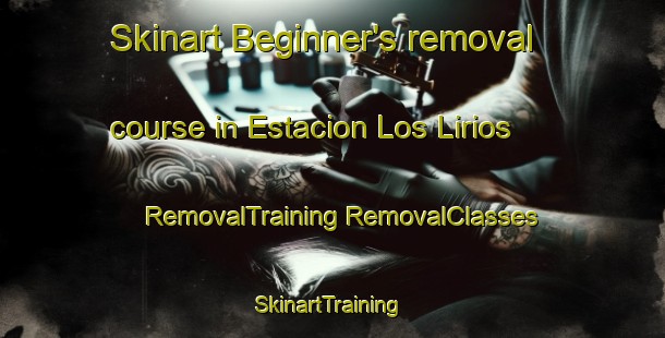 Skinart Beginner's removal course in Estacion Los Lirios | #RemovalTraining #RemovalClasses #SkinartTraining-Mexico