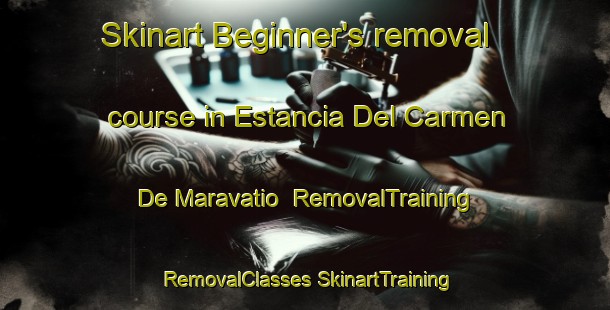 Skinart Beginner's removal course in Estancia Del Carmen De Maravatio | #RemovalTraining #RemovalClasses #SkinartTraining-Mexico