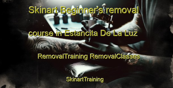 Skinart Beginner's removal course in Estancita De La Luz | #RemovalTraining #RemovalClasses #SkinartTraining-Mexico