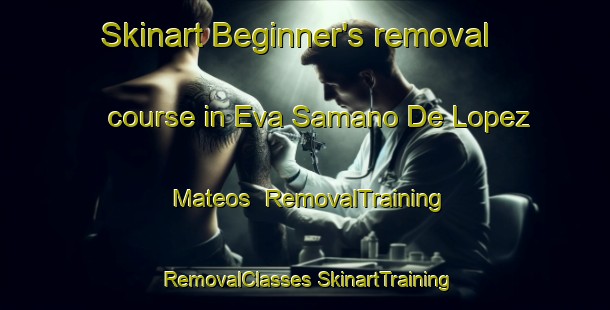 Skinart Beginner's removal course in Eva Samano De Lopez Mateos | #RemovalTraining #RemovalClasses #SkinartTraining-Mexico