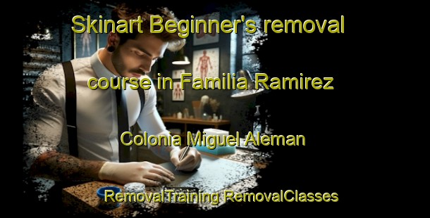 Skinart Beginner's removal course in Familia Ramirez  Colonia Miguel Aleman | #RemovalTraining #RemovalClasses #SkinartTraining-Mexico