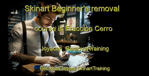 Skinart Beginner's removal course in Fraccion Cerro Joyacan | #RemovalTraining #RemovalClasses #SkinartTraining-Mexico