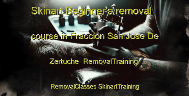 Skinart Beginner's removal course in Fraccion San Jose De Zertuche | #RemovalTraining #RemovalClasses #SkinartTraining-Mexico